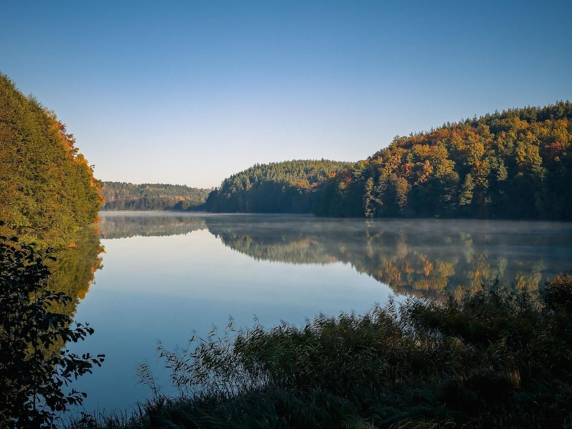 Villa Dom Pod Klonem Na Kaszubach Kościerzyna Exterior foto