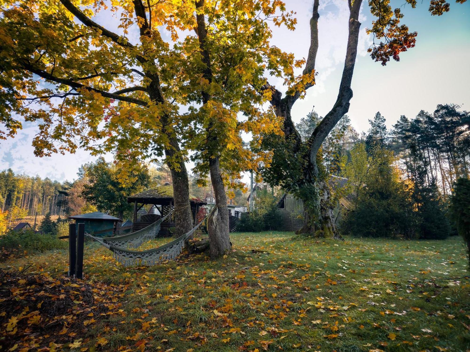 Villa Dom Pod Klonem Na Kaszubach Kościerzyna Exterior foto