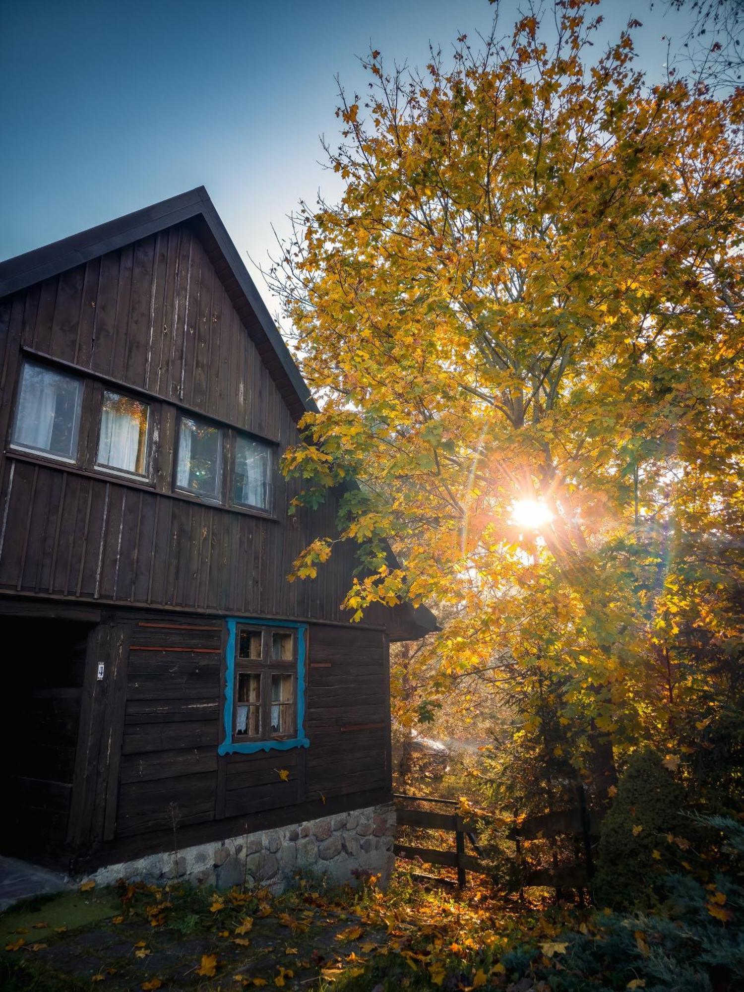 Villa Dom Pod Klonem Na Kaszubach Kościerzyna Exterior foto