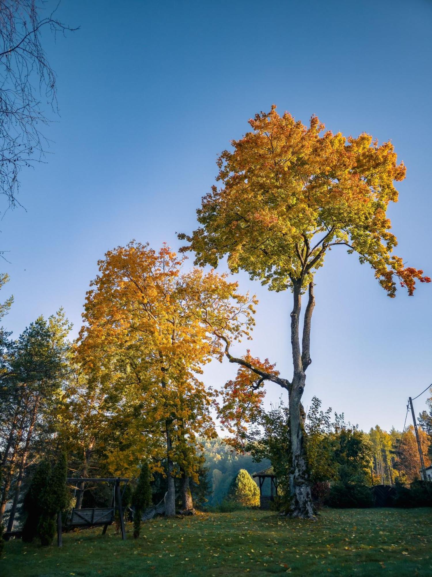 Villa Dom Pod Klonem Na Kaszubach Kościerzyna Exterior foto