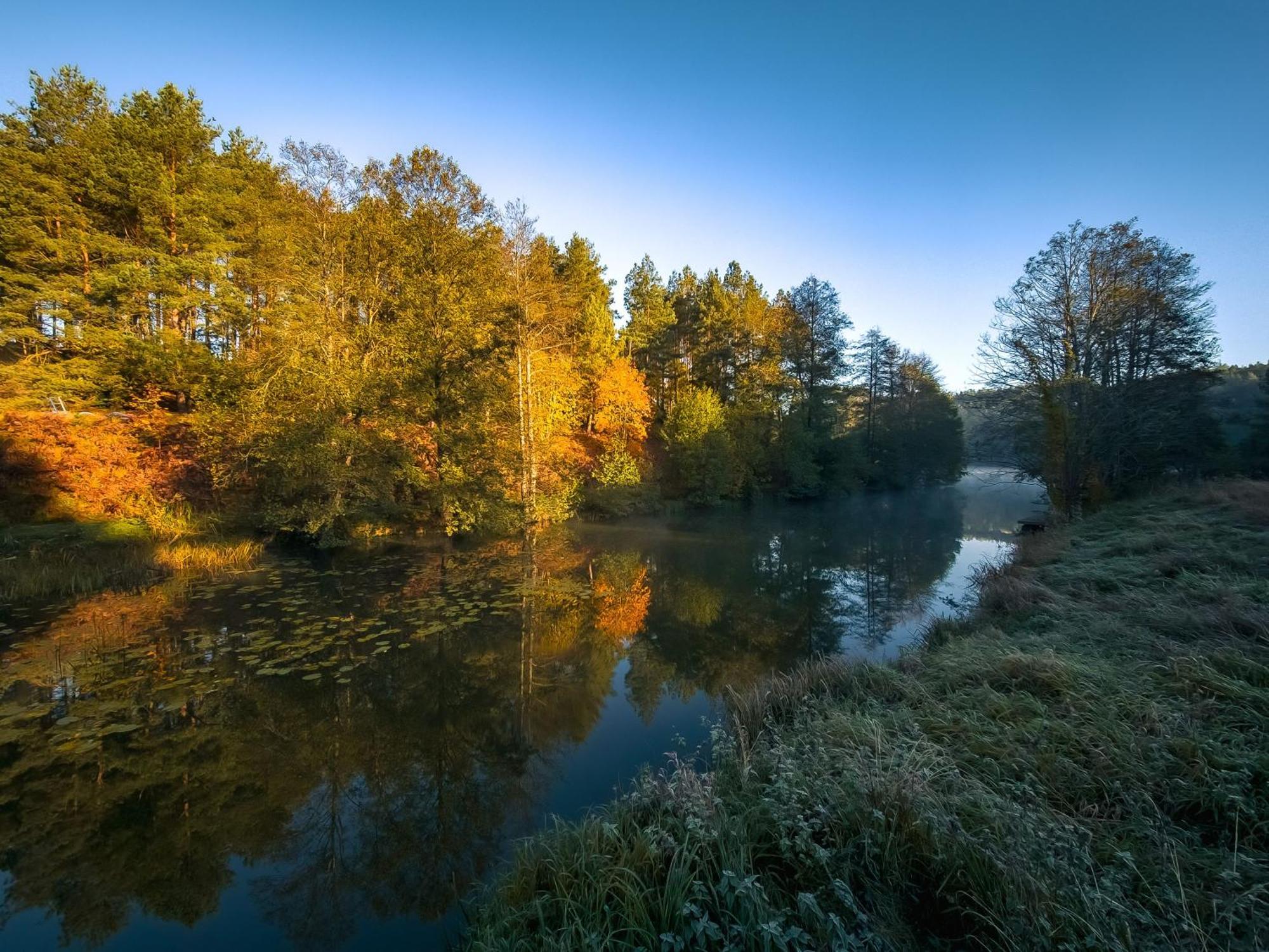 Villa Dom Pod Klonem Na Kaszubach Kościerzyna Exterior foto