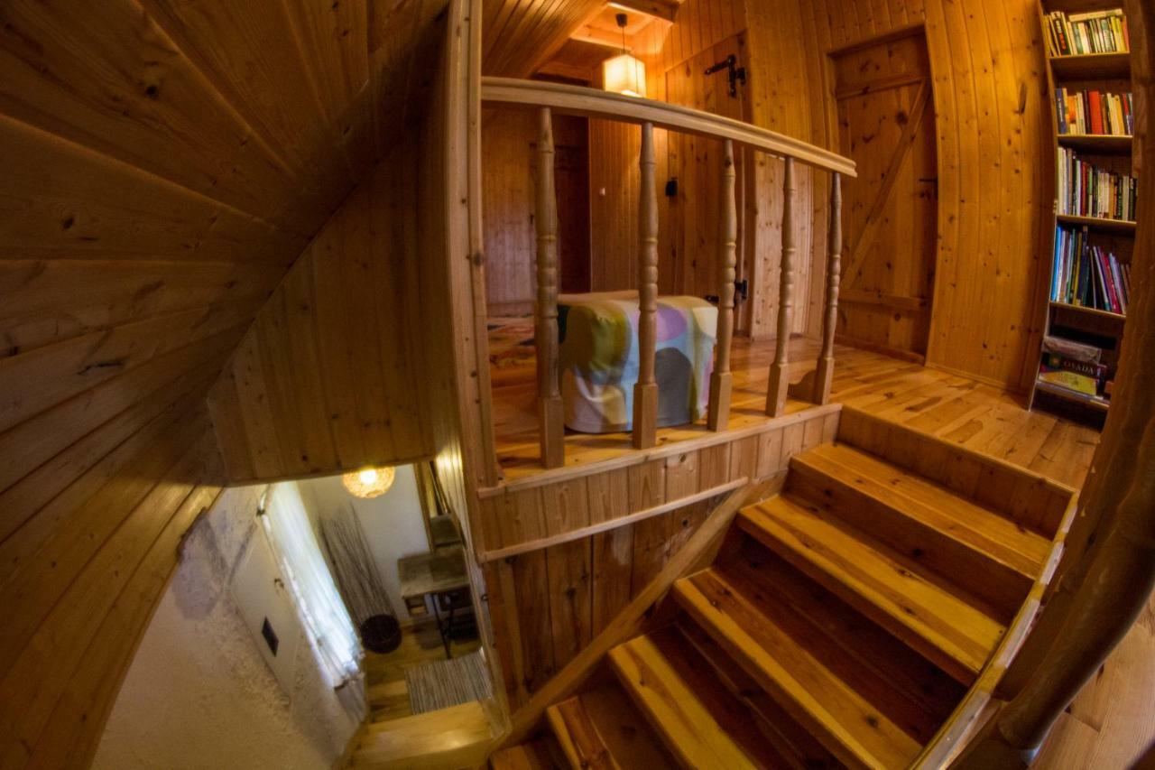 Villa Dom Pod Klonem Na Kaszubach Kościerzyna Exterior foto