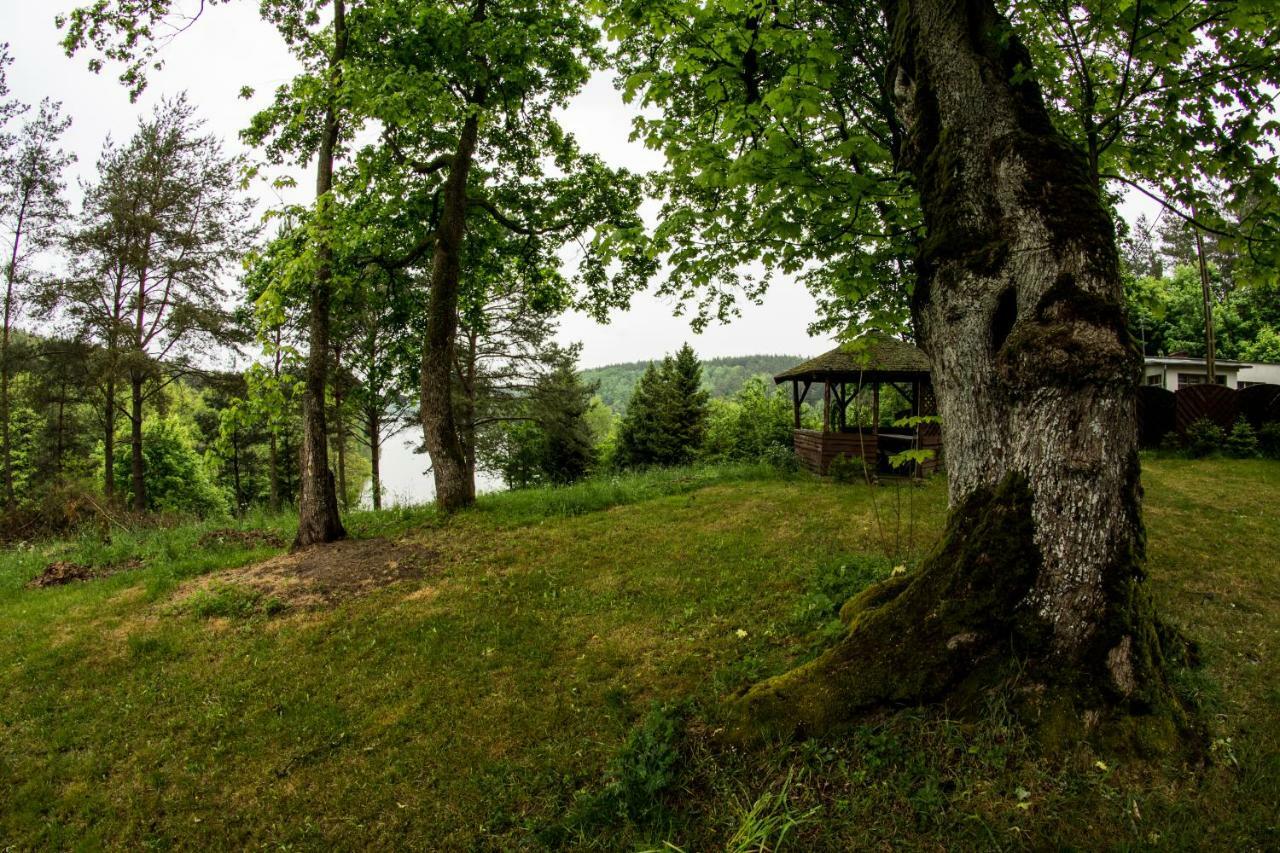 Villa Dom Pod Klonem Na Kaszubach Kościerzyna Exterior foto